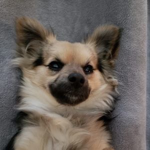 Meet your Posher, Marie